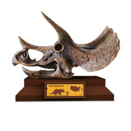Lovci lebiek Albi - Triceratops