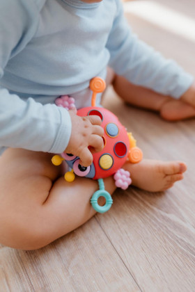 Ťahulíček lienka plast 15 x 11 cm Babyted