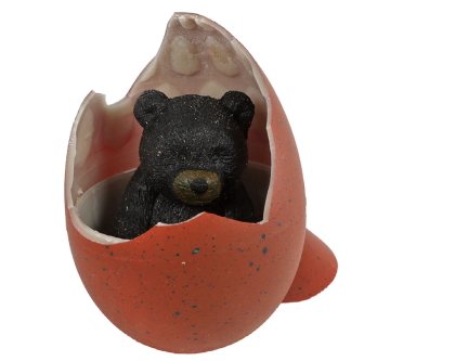 Medveď čierny liahnuci a rastúci