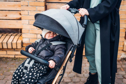 Športový kočík Estelle Dakar čierny Ginko MoMi