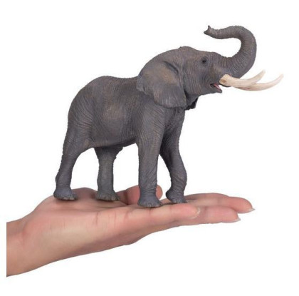 Mojo Slon africký