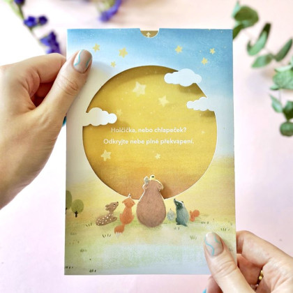 Odhalenie pohlavia bábätka - Budeme mať dievčatko