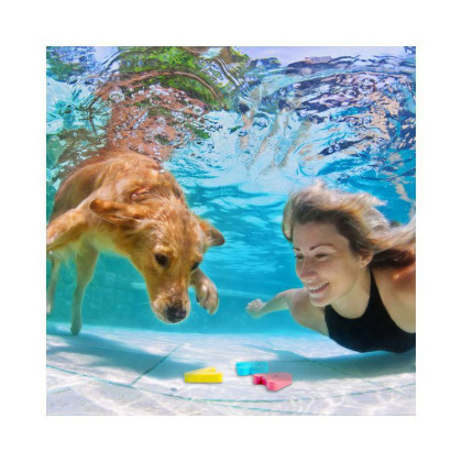 Podvodné písmenká Albi