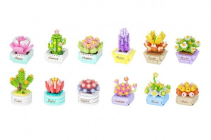 Stavebnica mini Sukulent v kvetináči mix druhov Koco