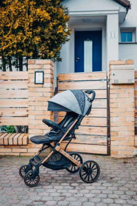 Športový kočík Estelle Dakar čierny Ginko MoMi