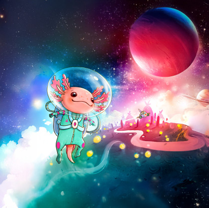 Spoločenská rodinná hra Galaxolotl Haba
