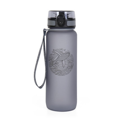 Športová fľaša 800 ml Albi