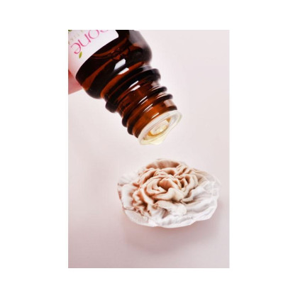 Karafiát - absorbér a odparovač silíc