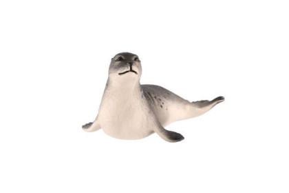 Tuleň obyčajný zooted plast 12 cm