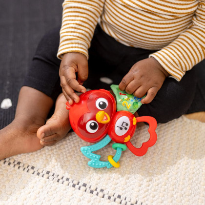 Hračka hudobná senzorická Roxy's Bright Flight™ 3 m+ Baby Einstein