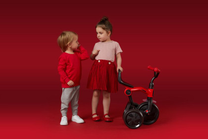 Trojkolka Ant plus, vek 2 - 6 rokov Qplay