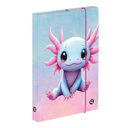 Box na zošity A4 Axolotl