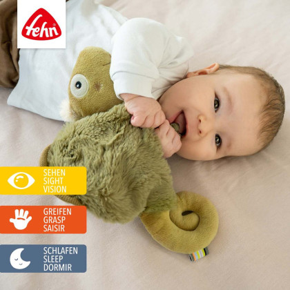 Muchláčik chameleón, Crazy Baby Fehn