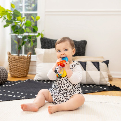 Hryzátko s hrkálkou zebra Zen ™ Shake-a-Shape bez Bpa 0 m+ Baby Einstein