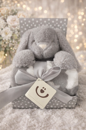 Plyšová hračka s dekou 75x100 cm