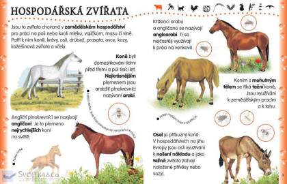 Svojtka U nás na vidieku