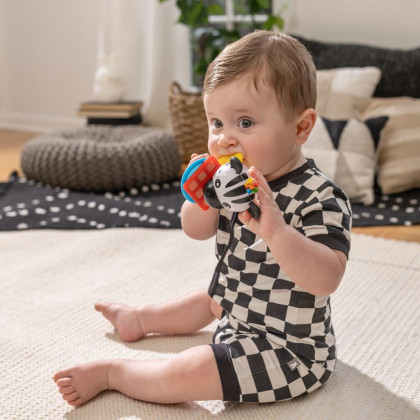 Hryzátko s hrkálkou zebra Zen ™ Shake-a-Shape bez Bpa 0 m+ Baby Einstein