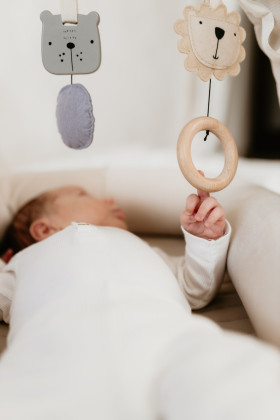 Nastaviteľná hrazdička s hračkami a bielym šumom 2 v 1 Sleepee