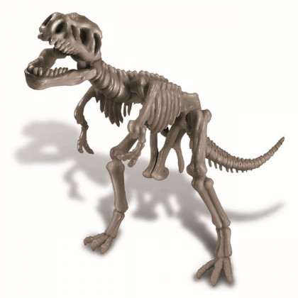 4M Dinosauria kostra - Rex