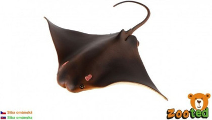 Siba ománska Raja zooted 18 cm