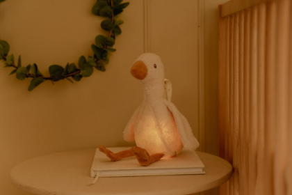 Zaspávač hus Newborn Naturals Little Dutch