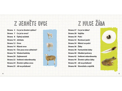 Z jahnite ovce, z žubrienky žaba - Životný cyklus