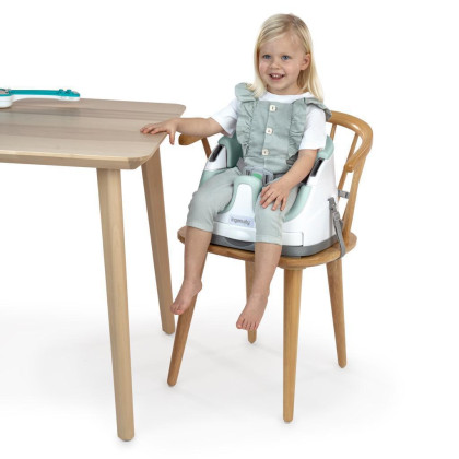 Podsedák na stoličku 2v1 Baby Base™ 6 m+ do 22 kg