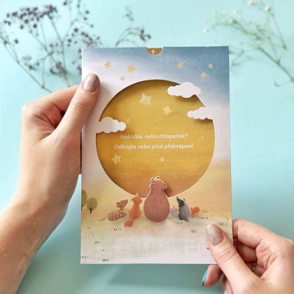 Odhalenie pohlavia bábätka - Budeme mať chlapčeka