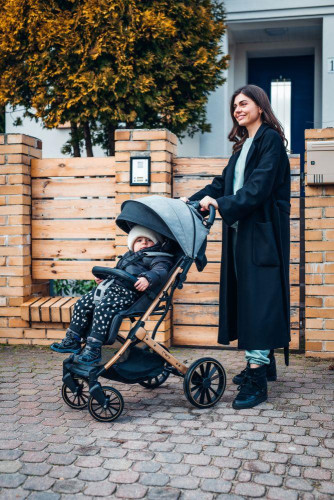 Športový kočík Estelle Dakar čierny Ginko MoMi