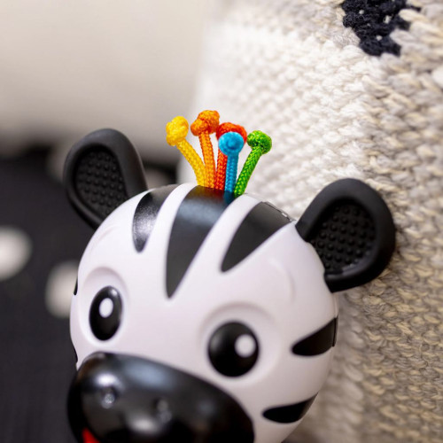 Hryzátko s hrkálkou zebra Zen ™ Shake-a-Shape bez Bpa 0 m+ Baby Einstein