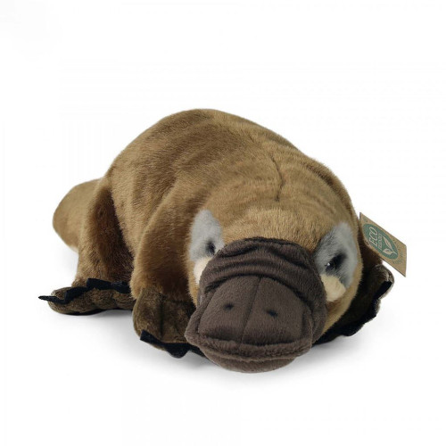 Plyšový vtákopysk 30 cm ECO-FRIENDLY Rappa