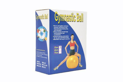 Gymnastická lopta 55cm