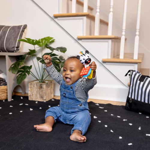 Hryzátko s hrkálkou zebra Zen ™ Shake-a-Shape bez Bpa 0 m+ Baby Einstein