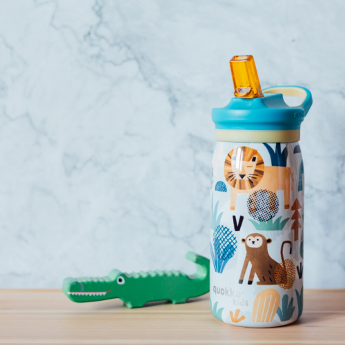 Nerezová termofľaša s náustkom Pop Kids 445 ml Quokka