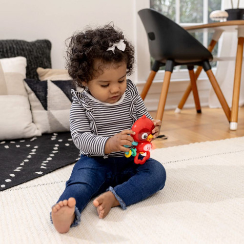 Hračka hudobná senzorická Roxy's Bright Flight™ 3 m+ Baby Einstein