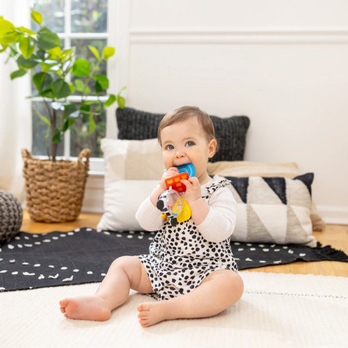 Hryzátko s hrkálkou zebra Zen ™ Shake-a-Shape bez Bpa 0 m+ Baby Einstein