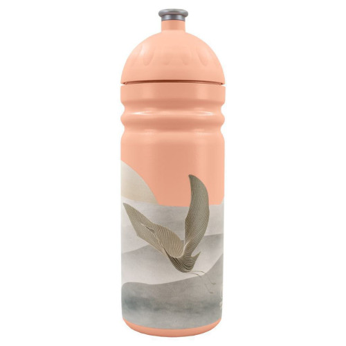 Zdravá fľaša na pitie 0,7 l