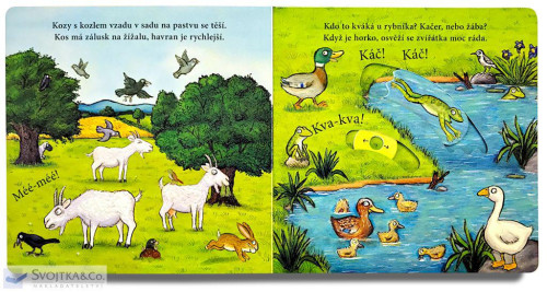 Leporelo Na statku