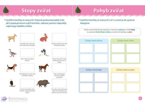 Moje malé objavy Montessori vo voľnom čase Delphine Urvoy