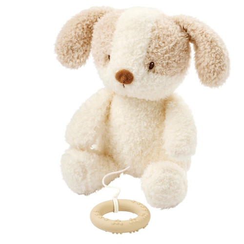 Hračka plyšová hudobná Teddy psík Nattou 24 cm, 0 m+
