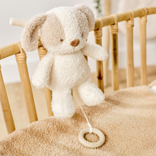 Hračka plyšová hudobná Teddy psík Nattou 24 cm, 0 m+