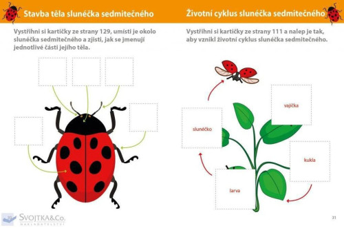 Môj veľký zošit Montessori objavuj svet