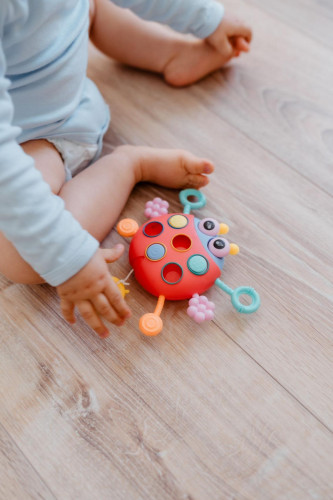 Ťahulíček lienka plast 15 x 11 cm Babyted