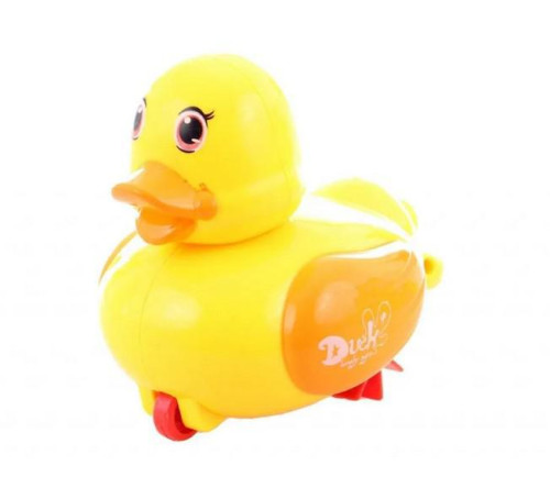 Kačička do vody naťahovacia