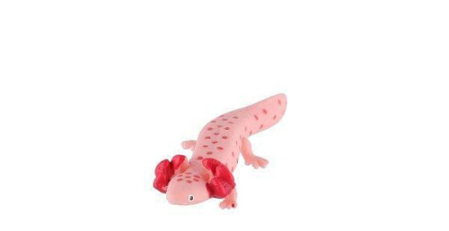 Axolotl mexický zooted plast 8 cm