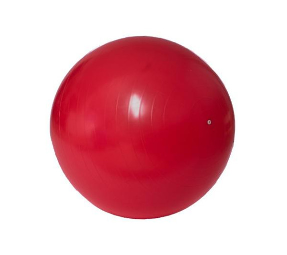Gymnastická lopta 55cm