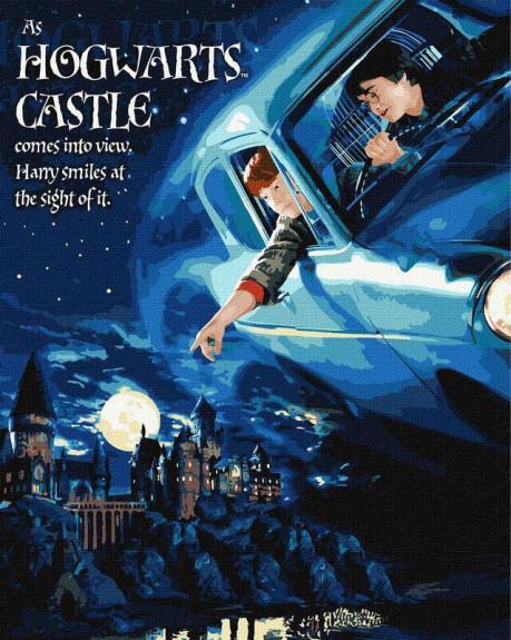 Maľovanie podľa čísel - Harry Potter Let autom 40 x 50 cm