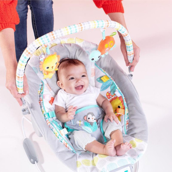 Lehátko vibrujúce s melódiou Whimsical Wild 0 m+ do 9 kg 2019 Bright Starts