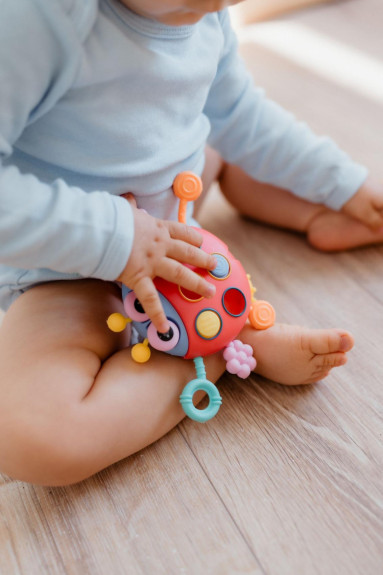 Ťahulíček lienka plast 15 x 11 cm Babyted