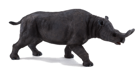 Mojo Brontotherium